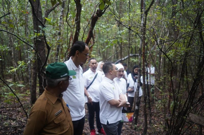 Dukung Pariwisata Berkelanjutan di Belitung, Jasaraharja Putera Tanam Pohon Pelepak di Area Jejak Whistle.