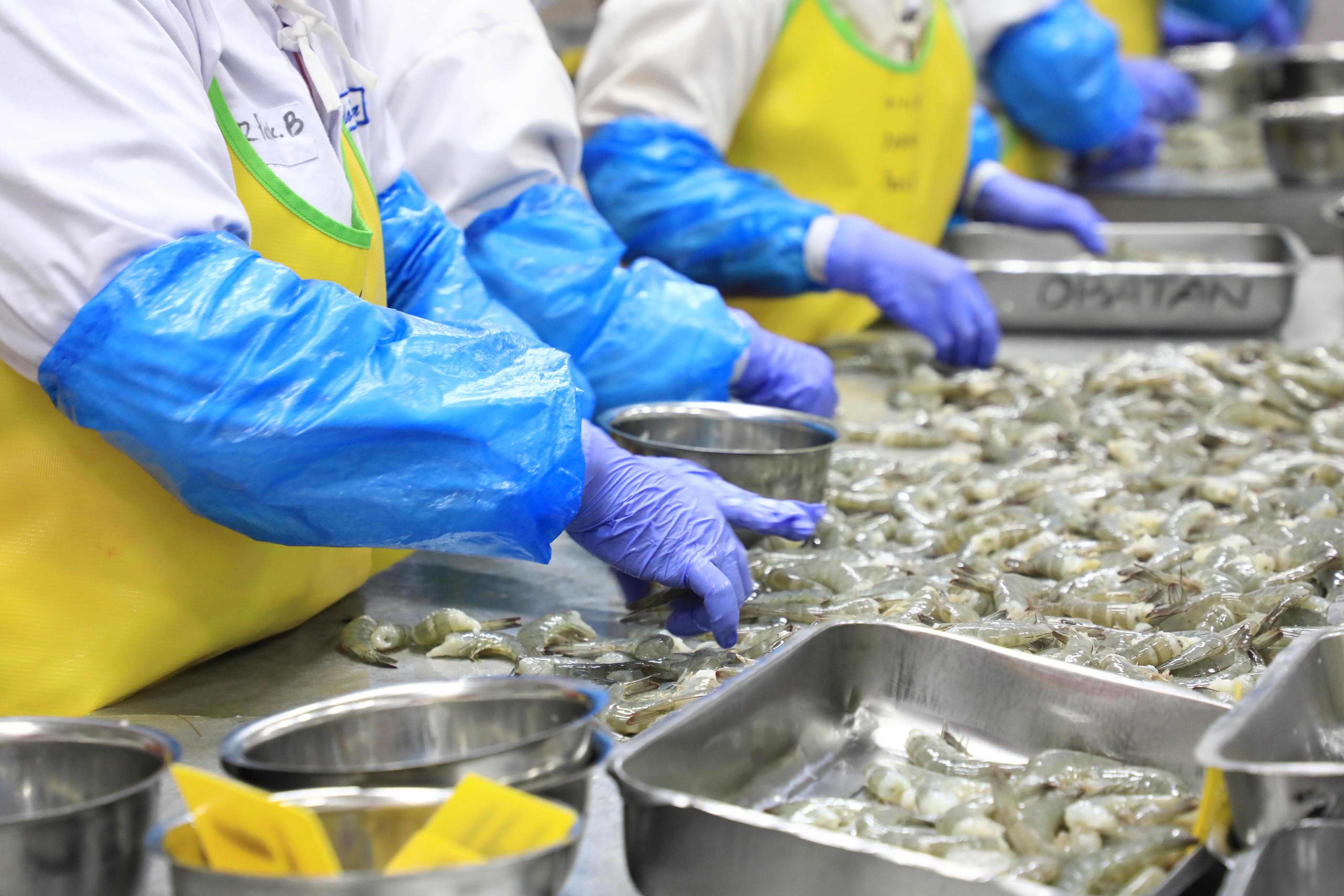 AS Perketat Pasar, Jadikan KKP Sebagai Entitas Pemberi Sertifikat untuk Udang RI