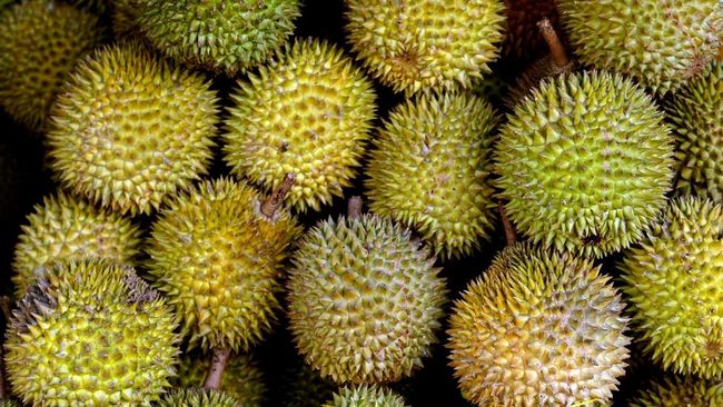 Hampir Setiap Wilayah Punya Pohon Duren, Namun Duren Asing Tetap Menghiasi Pasar Indonesia