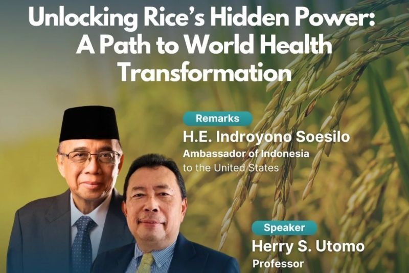 Inovasi Penelitian Beras Solusi Untuk Mengatasi Krisis Pangan Global