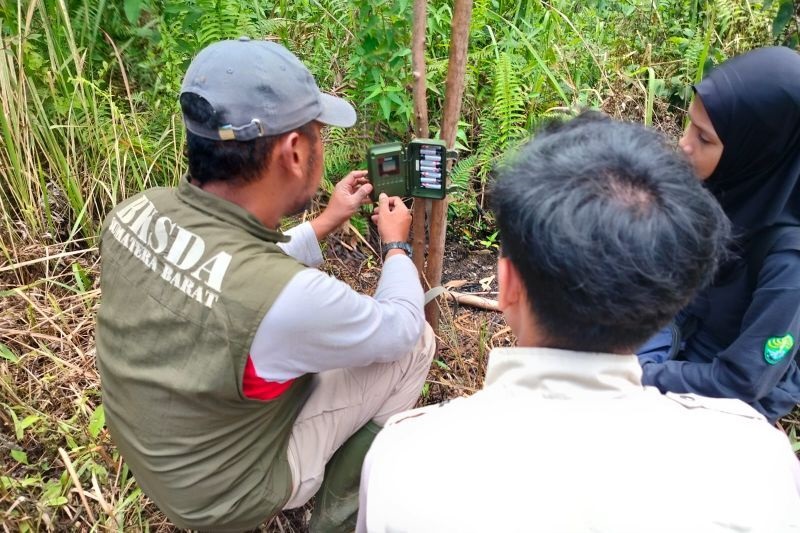 Matematika Gembira, Inovasi Sawahlunto Ubah Cara Belajar Jadi Lebih Interaktif dan Kontekstual