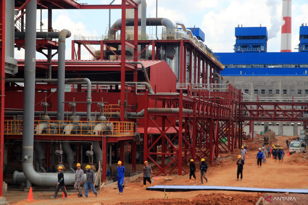 Percepatan Hilirisasi Bauksit, Pemerintah Janji Harga Stabil, Apakah Bisa Terkendali?