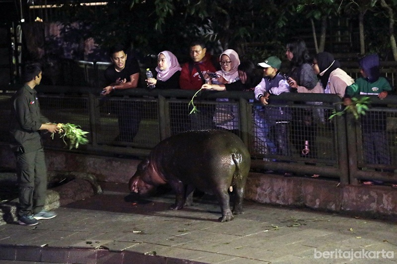 Wisata Malam Ragunan Kembali Dibuka Sabtu Ini, Siapkan JakCard untuk Pembayaran Tiket Masuk!