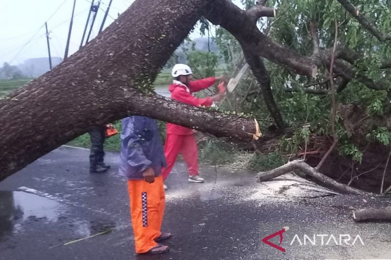 Petugas Terpadu Siap Siaga di Jalur Mande-Cianjur untuk Antisipasi Bencana Petugas Terpadu Siap Siaga di Jalur Mande-Cianjur untuk Antisipasi Bencana