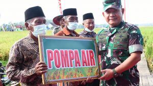 Jenderal Dr. Dudung Abdurachman Panen Raya Padi dan Serahkan Alsintan Kepada Petani Jenderal Dr. Dudung Abdurachman Panen Raya Padi dan Serahkan Alsintan Kepada Petani