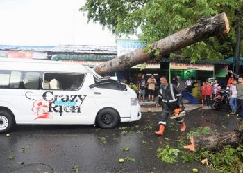 Mobil Hiace Travel ditimpa pohon di Jalan Turi, Medan Kota. (Foto Ist)