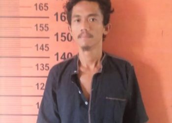 Pelaku Pencuri Kucing, Togar Imanuel Manalu