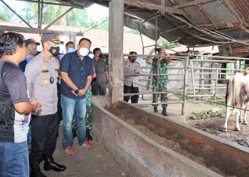 Kapolres Siantar AKBP Fernando SH, SIK memimpin cek langsung kondisi hewan ternak
