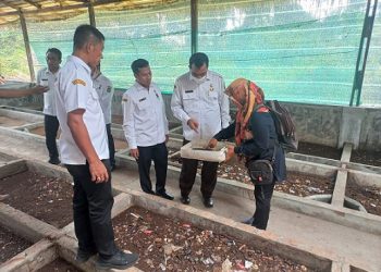 Suwarno Dirut PUD Pasar dan jajaran saat meninjau budidaya maggot. (Foto Romulo)