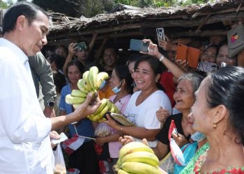 Presiden RI Joko Widodo di Pasar Alasa Nias Utara. (Foto Ist)