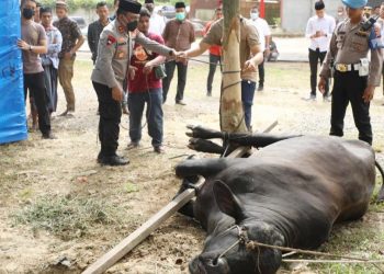 Kapolda Sumut Irjen Pol RZ Panca Putra Simanjuntak M. Si (Foto Ist)