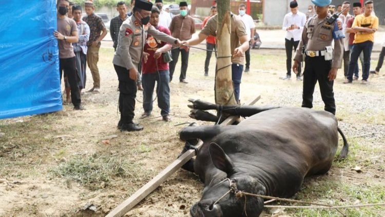 Kapolda Sumut Irjen Pol RZ Panca Putra Simanjuntak M. Si (Foto Ist)