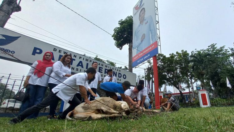 Ketua DPW Partai Perindo Sumut, Rudi Zulham Hasibuan dan pengurus saat penyembelihan hewan kurban merayakan Iduladha 1443 H/2022 M.(Foto Romulo)