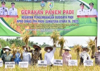 Gubernur Sumut Edy Rahmayadi dan Wakil Bupati Sergai Adlin Tambunan Saat Panen Raya Padi di Sergai. (Foto Ist)
