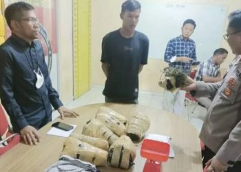Polresta Deliserdang gagalkan 7 kg ganja dibawa penumpang bus Putra Pelangi. (Foto Ist)