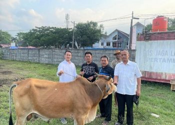 Anggota DPRD Kota Medan dari Fraksi Partai Golkar, M. Afri Rizki Lubis saat menyerahkan hewan kurban. (Foto Ist)