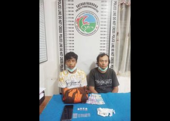 Kedua pelaku, Afandi Nasution alias Pandi dan Ismail Arifin Hasibuan alias Arifin serta barang bukti