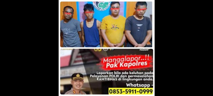 Bandar dan tiga tersangka yang diciduk Polres Madina melalui laporan aplikasi " Mangalapor Pak Kapolres " (Foto Ist)