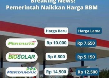 BBM NAIK