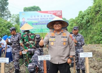 Kapolres Tanjungbalai AKBP Ahmad Yusuf Afandi SIK MM, menghadiri gerakan penanaman Sorgum nasional Tahun 2022 TNI Angkatan Laut