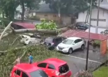 Pohon tumbang dilingkungan Rumah Sakit Umum Haji Adam Malik,  tiga mobil nakes ringsek. (Foto Ist)