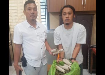 Pelaku pengedar ganja yang ditangkap dari Jalan Pelita I, Lorong Saudara, Medan Perjuangan. (Foto Ist)