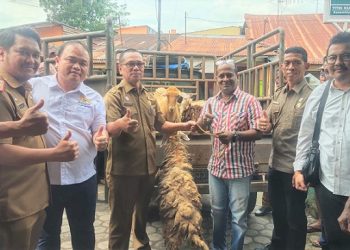 Penyerahan 15 ekor kambing dari Wali Kota Medan, Bobby Nasution yang turut dihadiri Dirut PUD Pasar Suwarno dan Ketua KADIN Medan Arman Chandra. (Foto Ist)