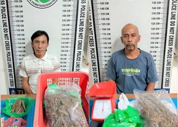 Ke dua pelaku, Maju Purba dan Dody Candra Sianipar alias Ateng beserta barang bukti sudah diamankan diruangan Satres Narkoba Polres Siantar