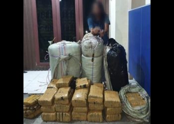 Kurir Ganja Yang Diamankan Polda Sumut bersama barang bukti. (Foto Ist)