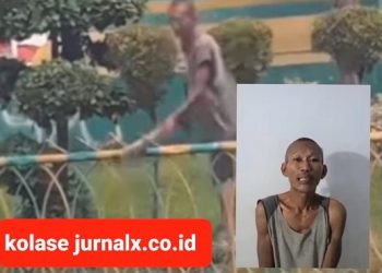 AJ Pelaku pencuri taman milik Pemko Medan yang diciduk Polisi. (Foto Ist)