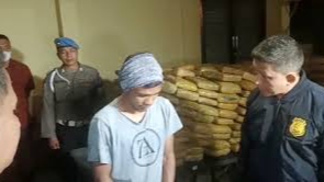 Kapolrestabes Medan Kombes Pol Valentino Alfa Tatareda menanyai tersangka kurir sekaligus memeriksa ganja hasil tangkapan. (Foto Ist)