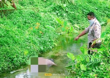 Jasad Korban Ramlan Butar-butar saat masih di TKP