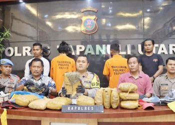 Polda Sumut bersama dengan Polres Taput dan Polres Padang Sidempuan gagalkan pengiriman ganja kering dari Silangit International Airport ( Bandar Udara Internasional Airport ). (Foto Ist)