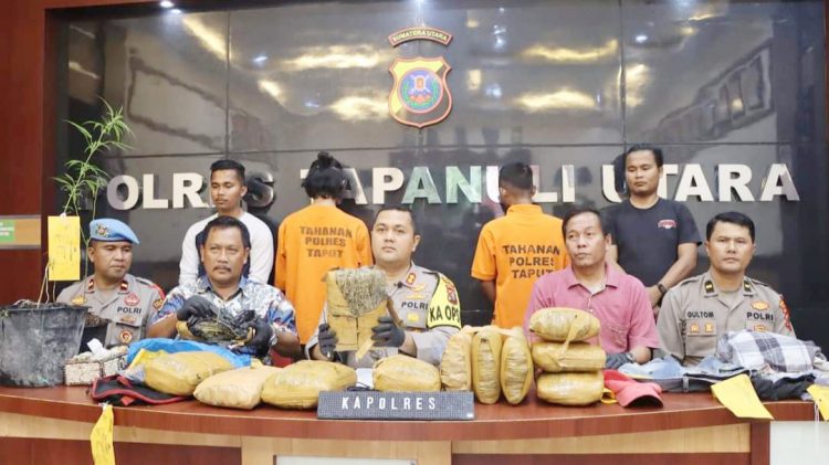 Polda Sumut bersama dengan Polres Taput dan Polres Padang Sidempuan gagalkan pengiriman ganja kering dari Silangit International Airport ( Bandar Udara Internasional Airport ). (Foto Ist)