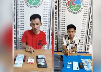 Kedua pelaku, Suhendrik dan M Hatta Pulungan alias Gelek beserta barang bukti