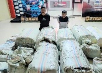Dua warga Aceh membawa ganja seberat 267 kg ditangkap Polda Sumut. (Foto Ist)