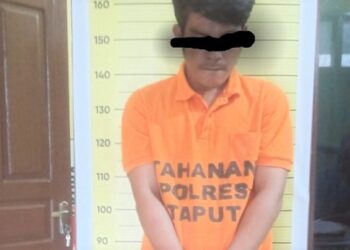 Devi Royantoni Hutagalung yang ditangkap Polres Taput. (Foto Ist)