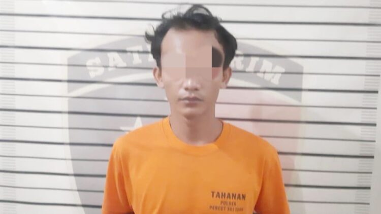 Ricky Zulkarnaen Siregar pelaku pencurian telur.
