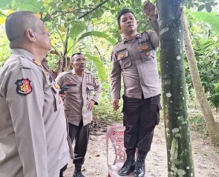 Kapolsek Serbalawan AKP Abdullah Yunus Siregar SH saat pimpin olah TKP gantung diri
