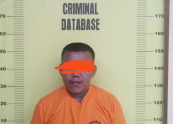 Pelaku Herbin Tindaon (38),sekuriti Kebun PTPN III Baruhur. (Foto Ist)