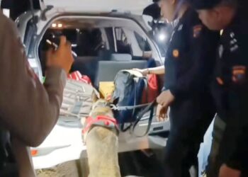 Polda Sumut gelar razia gabungan di perbatasan Aceh- Sumut.(Foto Ist)