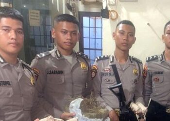 Ganja Tak Bertuan. (Foto Ist)