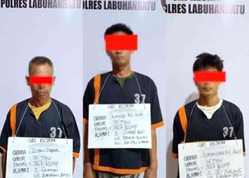 Polres Labuhanbatu mengamankan 3 orang kawanan pelaku pencurian hewan ternak kerbau. (Foto Ist)