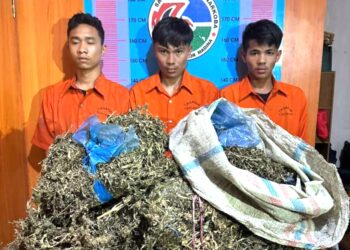 Tiga warga Sumbar yang membawa ganja kering. (Foto Ist)