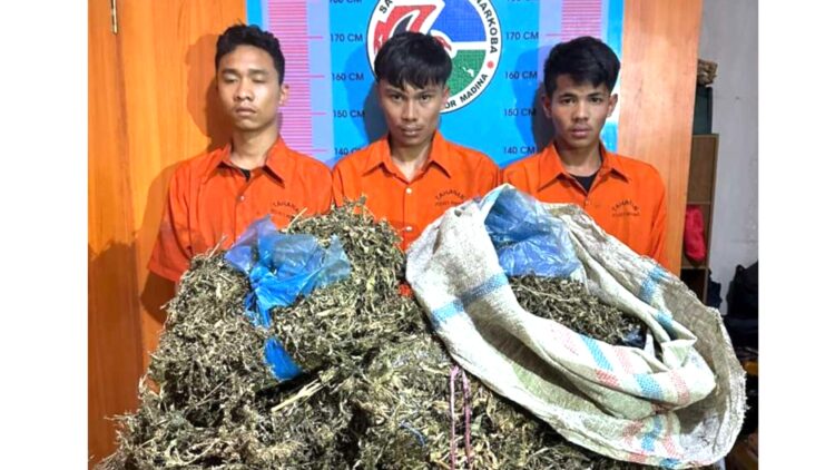 Tiga warga Sumbar yang membawa ganja kering. (Foto Ist)