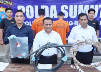 Kasat Reskrim Polres Sergai AKP JH Panjaitan didampingi Kasi Humas IPDA Brimen saat paparan dua pria pelaku pencurian kabel lampu penerangan jalan umum (PJU) di pintu tol Teluk Mengkudu, Kabupaten Sergai. (Foto.Ist)