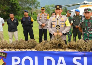 Kapolda Sumut, Irjen Pol Agung Setya Imam Effendi pimpin press release dilokasi kadang ganja