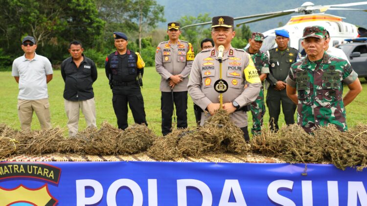 Kapolda Sumut, Irjen Pol Agung Setya Imam Effendi pimpin press release dilokasi kadang ganja
