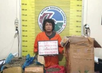 Tersangka pemilik 22,5 Kg Ganja Kering. (Foto Ist)