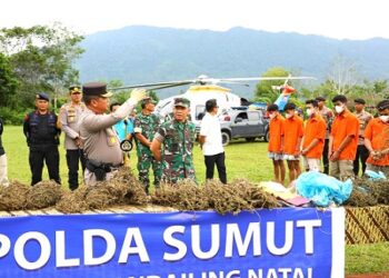 Kapolda Sumut Irjen Pol Agung Setya Imam Effendi bersama Pangdam I Bukit Barisan Mayjen TNI Mochammad Hasan pimpin langsung operasi pemberantasan ladang ganja terbesar dengan luaa 150 Hektar wilayah Kabupaten Madina. (Foto Ist)